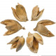 Fleurs de sororoca - 9 à 14 cm - Lot de 4