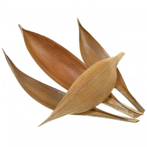 Feuilles de cocotier coco boat - 30 à 40 cm - Lot de 4