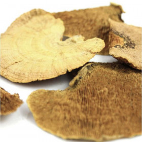 Champignons séchés décoratifs - 100 grammes