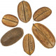 Feuilles de palmier déco coco para - Lot de 5