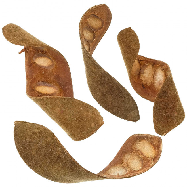 Gousses de haricots twist velours - Lot de 6