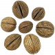 Mintolla - 8 à 11 cm - Lot de 5