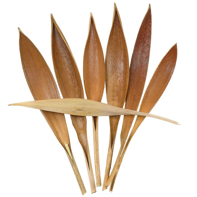 Petites feuilles de cocotier - 100 grammes
