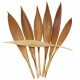 Petites feuilles de cocotier - 100 grammes