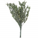 Feuillage d'eucalyptus parvifolia vert stabilisé - 65 cm