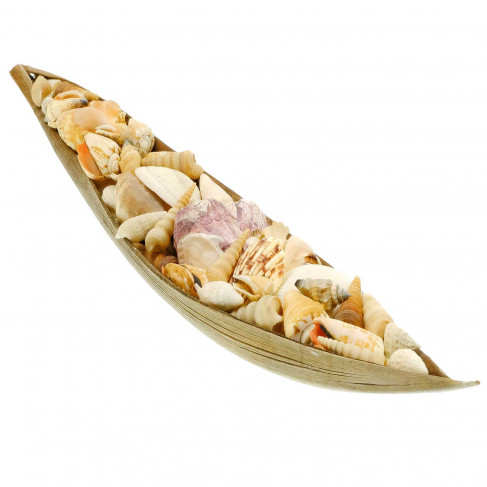 Pirogue feuille de coco remplie de coquillages assortis