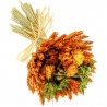 Bouquet de fleurs séchées composé orange - 30 cm