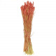 Bouquet séché de blé triticum bordeaux - 70 cm