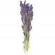 Bouquet séché setaria lavande - 65 cm