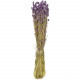 Bouquet fleurs séchées phalaris lavande - 70 cm