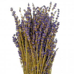 Bouquet de lavande séchée - 30 cm