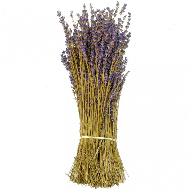 Bouquet de lavande séchée - 30 cm