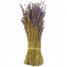 Bouquet de lavande séchée - 30 cm