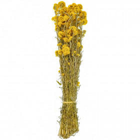 Bouquet fleurs séchées lona - 55 cm
