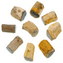 Pierres brutes bois fossilisé - 3.5 à 4 cm - A l'unité