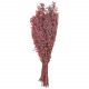 Branchage de ruscus rouge stabilisé - 90 cm.