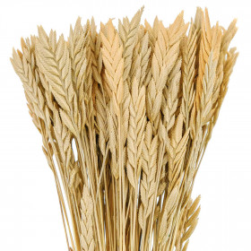 Bouquet de blé spiga d'oro - 38 cm