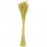 Bouquet de phleum pratense - 70 cm