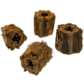 Morceaux de tronc de fougère arborescente - 7 cm - Lot de 3