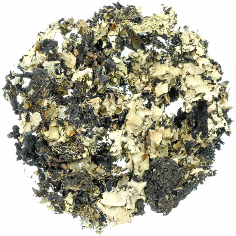 Lichen séché noir - 100 grammes