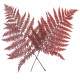 Feuilles de fougère rouge stabilisée - 40 à 50 cm - Lot de 20