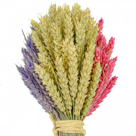 Bouquet de blé couleur lavande rose et naturel - 35 cm