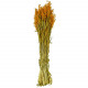 Bouquet fleurs séchées avoine orange - 70 cm