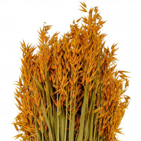 Bouquet fleurs séchées avoine orange - 70 cm