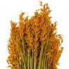 Bouquet fleurs séchées avoine orange - 70 cm