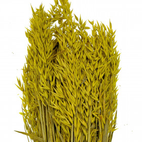 Bouquet fleurs séchées avoine jaune - 70 cm