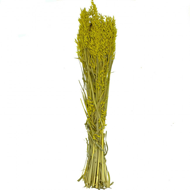 Bouquet fleurs séchées avoine jaune - 70 cm