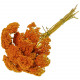 Bouquet fleurs séchées achillea parker orange - 60 cm