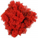 Lichen des rennes stabilisé rouge - 120 grammes.