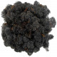 Lichen des rennes stabilisé charbon - 120 grammes