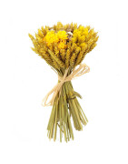 Fleurs séchées et préservées - Bouquets et décoration
