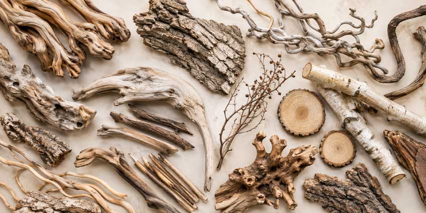 Branches et bois décoratifs