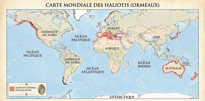 Carte de répartition générale des habitats des coquillages Haliotis
