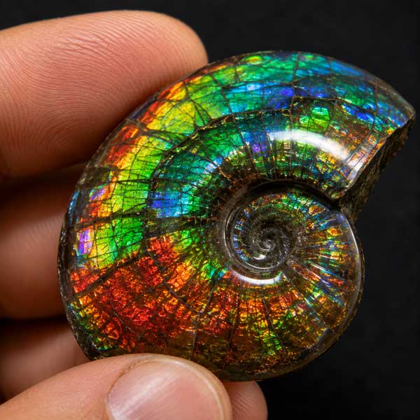 Exemple d’iridescence produisant des couleurs changeantes sur une pierre