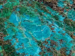 Chrysocolle