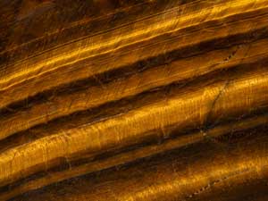 Oeil de tigre