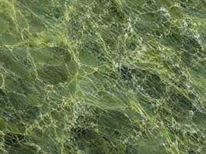 Serpentine